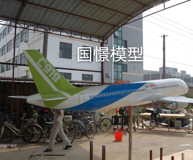 肇东市飞机模型